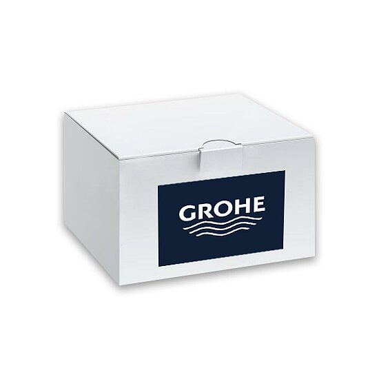 Vitalio Start 100 Handbrause, GROHE